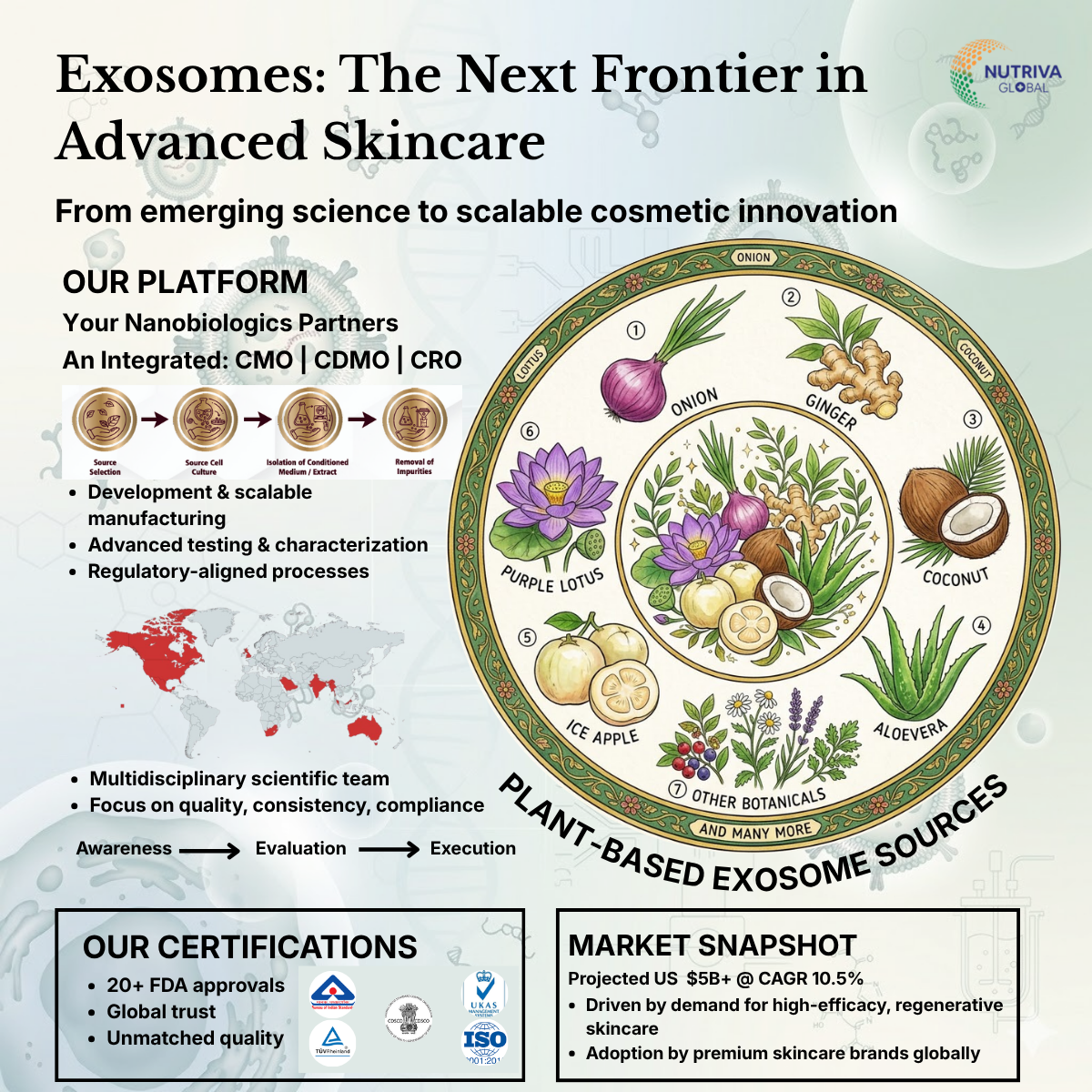 Exosomes in Skincare: Bridging Innovation, Compliance, and Global Scale